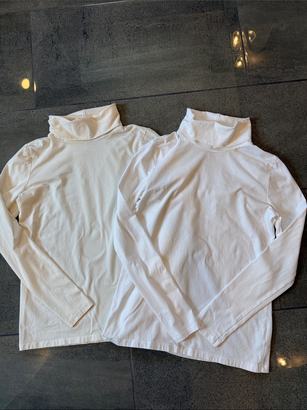 Never worn Bundle The Talbots Tee Turtleneck